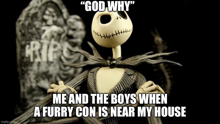 Furries are autistic | “GOD WHY”; ME AND THE BOYS WHEN A FURRY CON IS NEAR MY HOUSE | image tagged in nightmare before christmas jack skellington | made w/ Imgflip meme maker