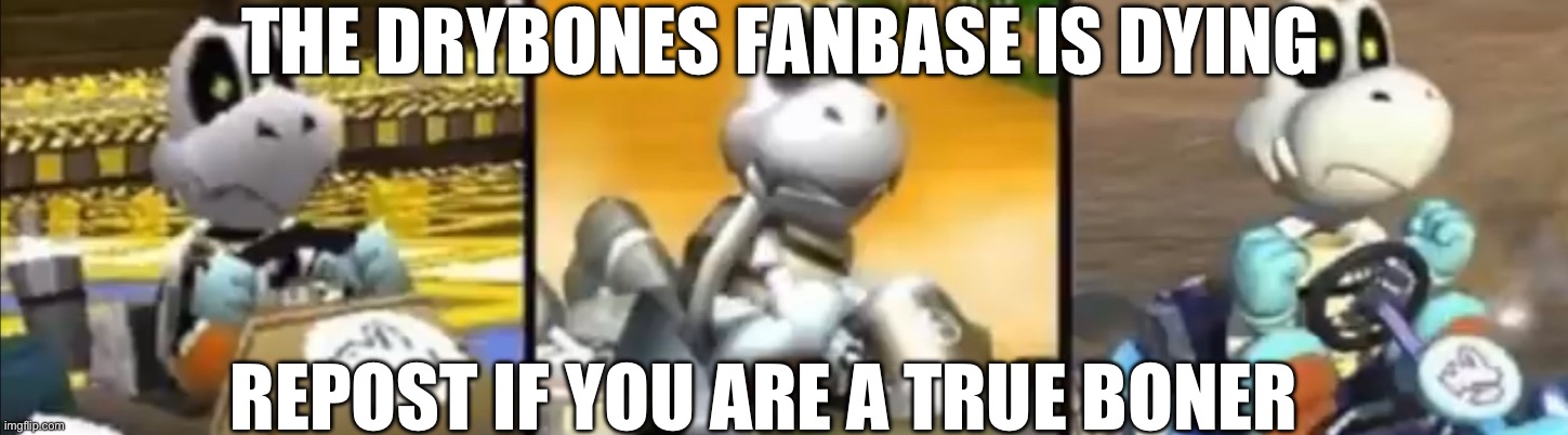 THE DRYBONES FANBASE IS DYING; REPOST IF YOU ARE A TRUE BONER | image tagged in mario kart,boner | made w/ Imgflip meme maker