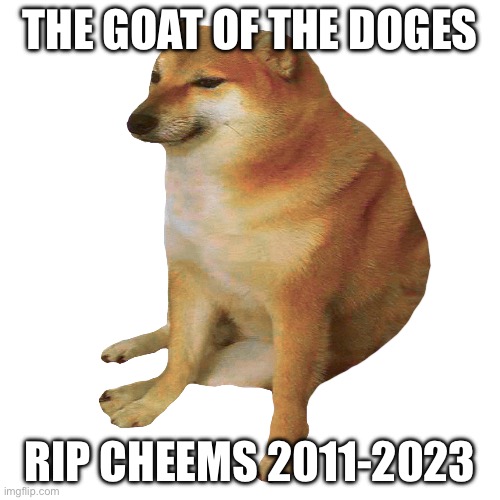Rip cheems :( | THE GOAT OF THE DOGES; RIP CHEEMS 2011-2023 | image tagged in cheems | made w/ Imgflip meme maker