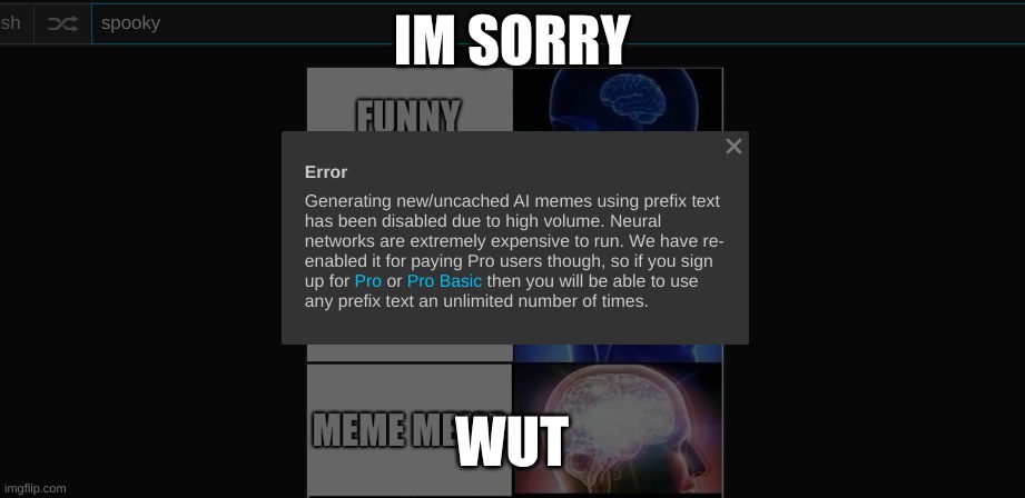 explain | IM SORRY; WUT | image tagged in imgflip | made w/ Imgflip meme maker