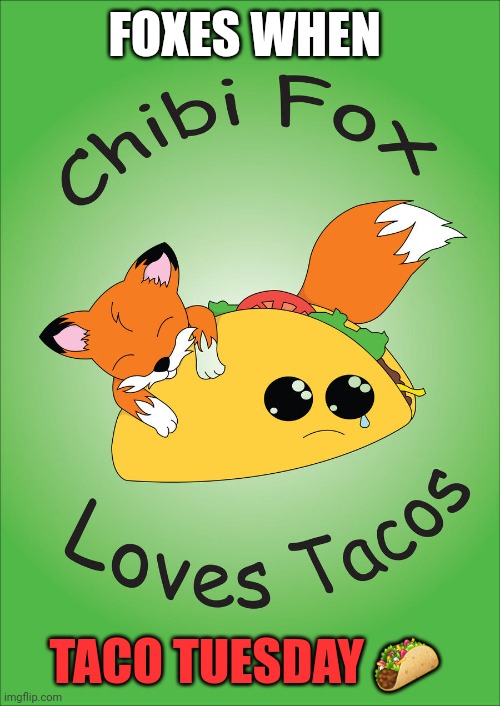 Important fox facts | FOXES WHEN; TACO TUESDAY 🌮 | image tagged in important,fox,facts | made w/ Imgflip meme maker