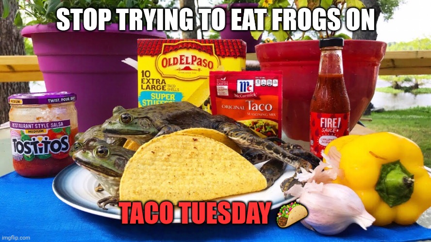 Important Tuesday facts | STOP TRYING TO EAT FROGS ON; TACO TUESDAY 🌮 | image tagged in taco tuesday,facts | made w/ Imgflip meme maker