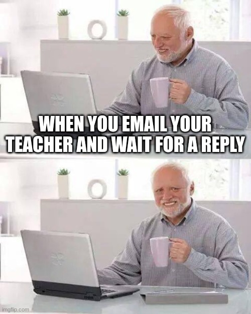 please teacher its been 34 days | WHEN YOU EMAIL YOUR TEACHER AND WAIT FOR A REPLY | image tagged in memes,hide the pain harold | made w/ Imgflip meme maker