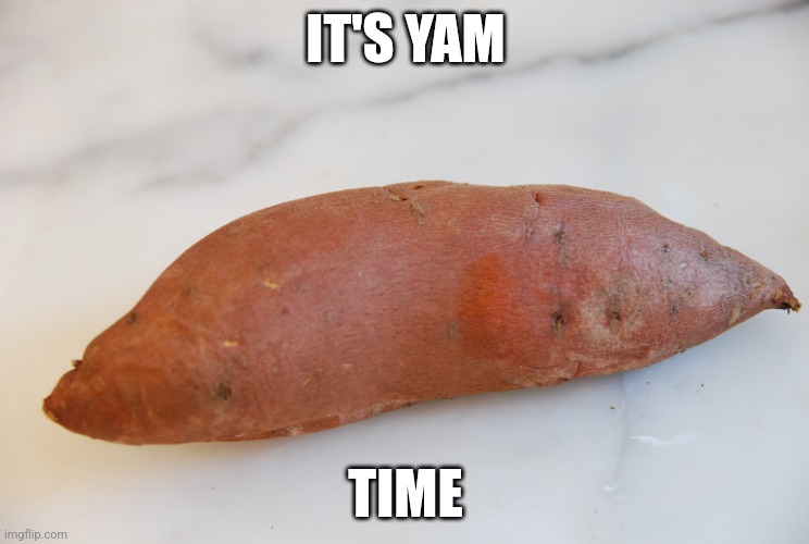 It's yam time | IT'S YAM; TIME | image tagged in yam | made w/ Imgflip meme maker