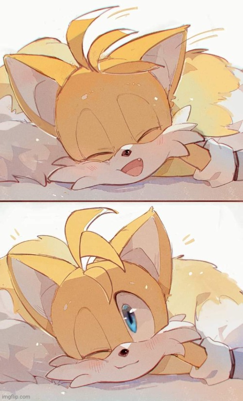 Silly | image tagged in silly,cute,tails,fox,so silly,i love him | made w/ Imgflip meme maker