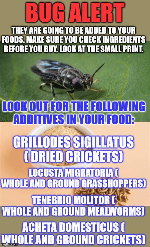 They want everyone to eat bugs... | BUG ALERT; THEY ARE GOING TO BE ADDED TO YOUR FOODS. MAKE SURE YOU CHECK INGREDIENTS BEFORE YOU BUY. LOOK AT THE SMALL PRINT. LOOK OUT FOR THE FOLLOWING ADDITIVES IN YOUR FOOD:; GRILLODES SIGILLATUS ( DRIED CRICKETS); LOCUSTA MIGRATORIA ( WHOLE AND GROUND GRASSHOPPERS); TENEBRIO MOLITOR ( WHOLE AND GROUND MEALWORMS); ACHETA DOMESTICUS ( WHOLE AND GROUND CRICKETS) | image tagged in bugs,nwo police state | made w/ Imgflip meme maker