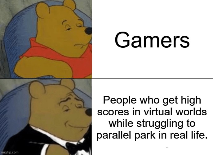 dis dude | Gamers; People who get high scores in virtual worlds while struggling to parallel park in real life. | image tagged in memes,tuxedo winnie the pooh | made w/ Imgflip meme maker