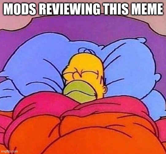 Homer Simpson sleeping peacefully | MODS REVIEWING THIS MEME | image tagged in homer simpson sleeping peacefully | made w/ Imgflip meme maker