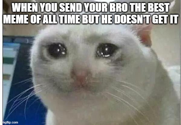 crying cat | WHEN YOU SEND YOUR BRO THE BEST MEME OF ALL TIME BUT HE DOESN'T GET IT | image tagged in crying cat,memes,funny,funny memes | made w/ Imgflip meme maker
