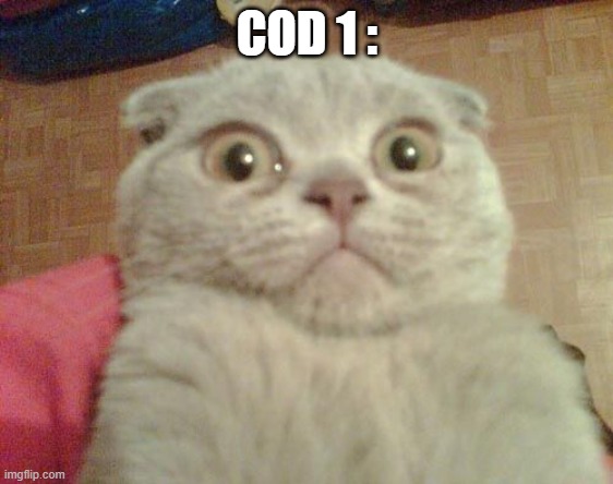 Stunned Cat | COD 1 : | image tagged in stunned cat | made w/ Imgflip meme maker