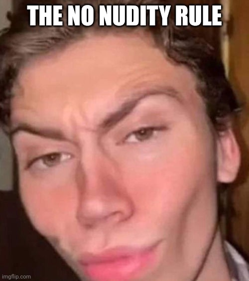 Rizz | THE NO NUDITY RULE | image tagged in rizz | made w/ Imgflip meme maker