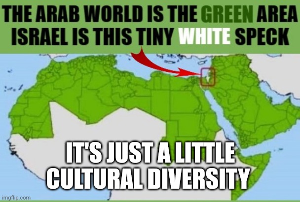 IT'S JUST A LITTLE CULTURAL DIVERSITY | image tagged in funny memes | made w/ Imgflip meme maker