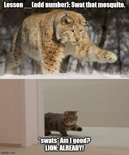 Big and smol cat | Lesson __(add number): Swat that mosquito. *swats* Am I good?
LION: ALREADY! | image tagged in big and smol cat | made w/ Imgflip meme maker