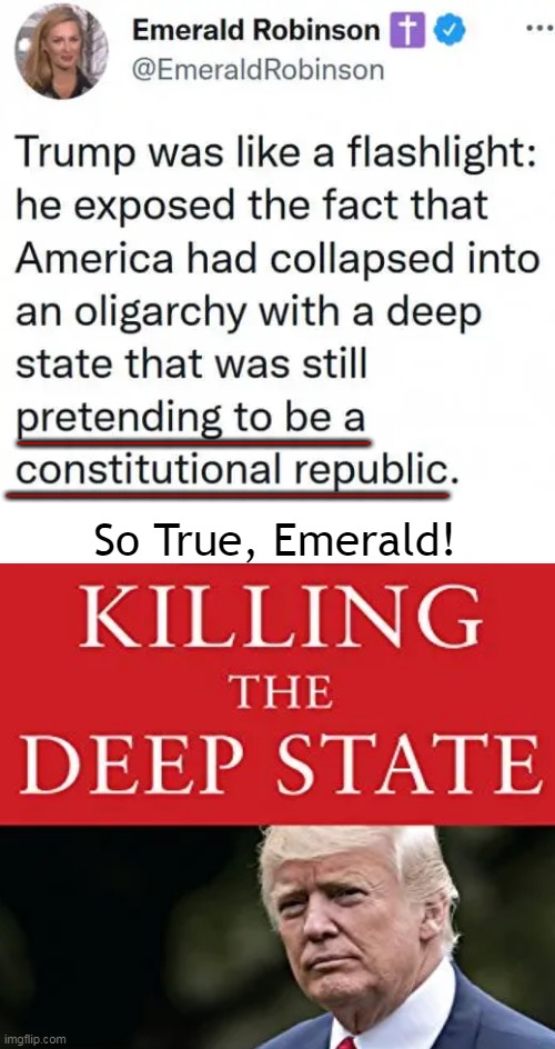 Exposing the Deep State | ______________; _______________; So True, Emerald! | image tagged in politics,donald trump,deep state,exposed,republic,sunshine | made w/ Imgflip meme maker