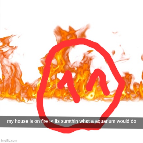 my house is on fire :> its sumthin what a aquarium would do | made w/ Imgflip meme maker