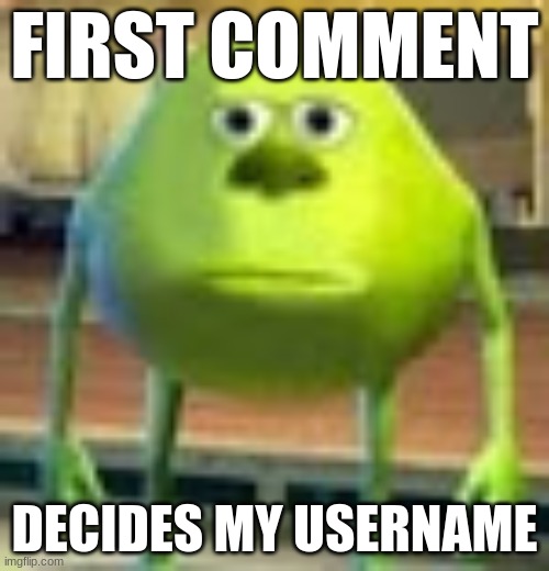 please get like 0 views XD | FIRST COMMENT; DECIDES MY USERNAME | image tagged in sully wazowski,help,bad idea,username | made w/ Imgflip meme maker