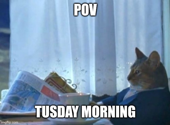 I Should Buy A Boat Cat Meme | POV; TUSDAY MORNING | image tagged in memes,i should buy a boat cat | made w/ Imgflip meme maker