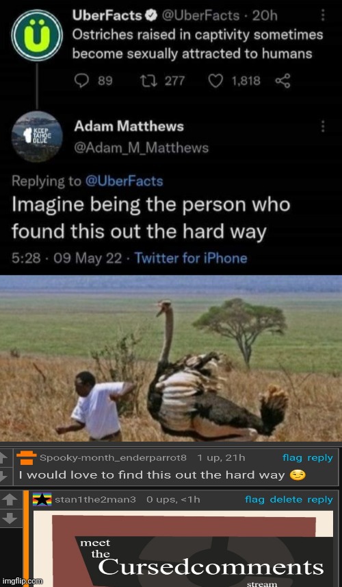 AYO | image tagged in cursed comment | made w/ Imgflip meme maker