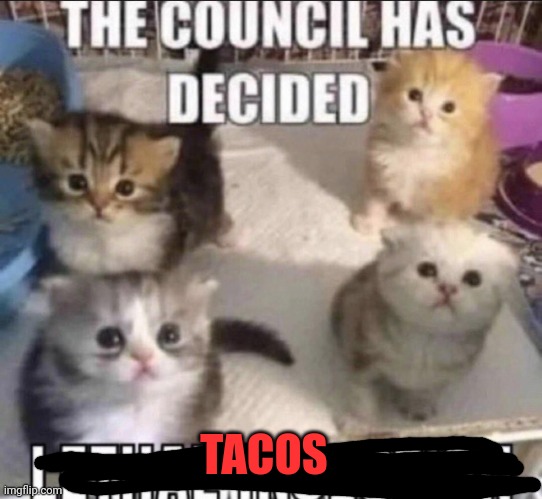 The council has decided lethal injection | TACOS | image tagged in the council has decided lethal injection | made w/ Imgflip meme maker