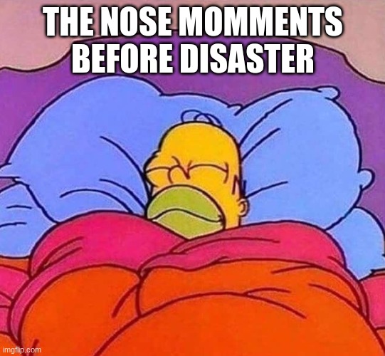 Homer Simpson sleeping peacefully | THE NOSE MOMMENTS BEFORE DISASTER | image tagged in homer simpson sleeping peacefully | made w/ Imgflip meme maker