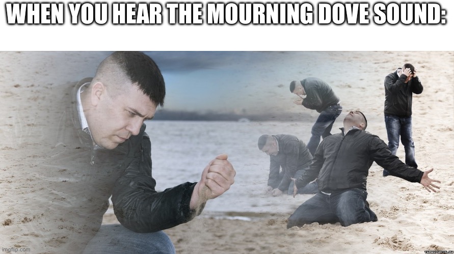 Memories from childhood | WHEN YOU HEAR THE MOURNING DOVE SOUND: | image tagged in guy with sand in the hands of despair | made w/ Imgflip meme maker