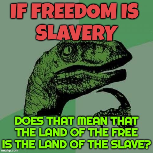 The Land Of The Free Is The Land Of The Slave | IF FREEDOM IS 
SLAVERY; DOES THAT MEAN THAT THE LAND OF THE FREE IS THE LAND OF THE SLAVE? | image tagged in memes,philosoraptor,slavery,freedom,freedom in murica,'murica | made w/ Imgflip meme maker
