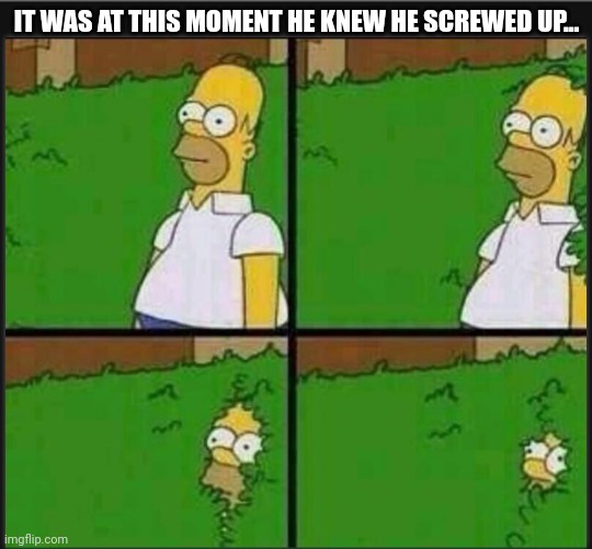 WHEN YOU REALLY SCREWED UP... | IT WAS AT THIS MOMENT HE KNEW HE SCREWED UP... | image tagged in homer simpson in bush - large,homer simpson,screwed up,be like,memes,oh crap | made w/ Imgflip meme maker