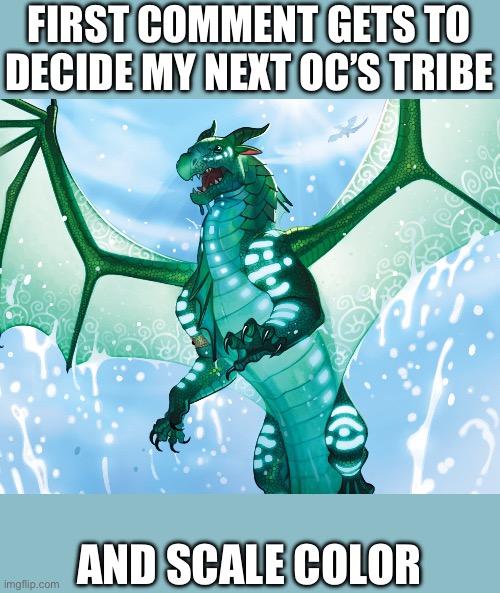 For all of the WOF  fans out there | FIRST COMMENT GETS TO DECIDE MY NEXT OC’S TRIBE; AND SCALE COLOR | image tagged in dragon from wings of fire,swiftclaws | made w/ Imgflip meme maker