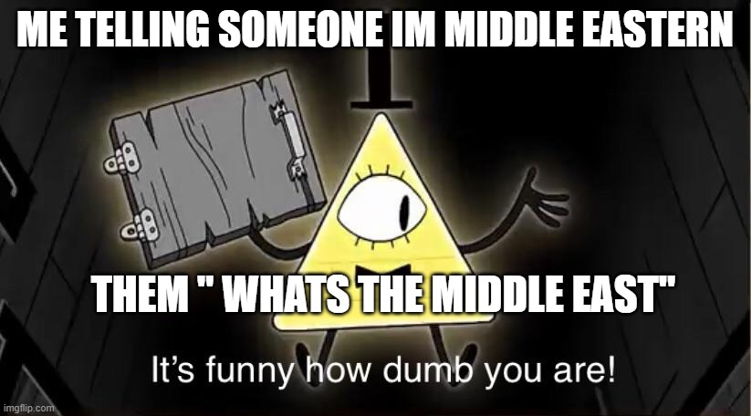 Like school exists for a reason | ME TELLING SOMEONE IM MIDDLE EASTERN; THEM " WHATS THE MIDDLE EAST" | image tagged in bill cypher it's funny how dumb you are,dumb,middle east,me,funny,wow | made w/ Imgflip meme maker
