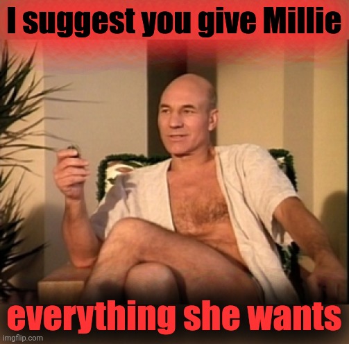 Sexual picard | I suggest you give Millie everything she wants | image tagged in sexual picard | made w/ Imgflip meme maker