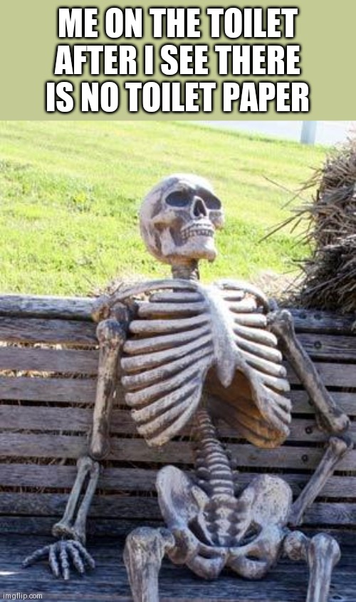 Waiting Skeleton | ME ON THE TOILET AFTER I SEE THERE IS NO TOILET PAPER | image tagged in memes,waiting skeleton | made w/ Imgflip meme maker