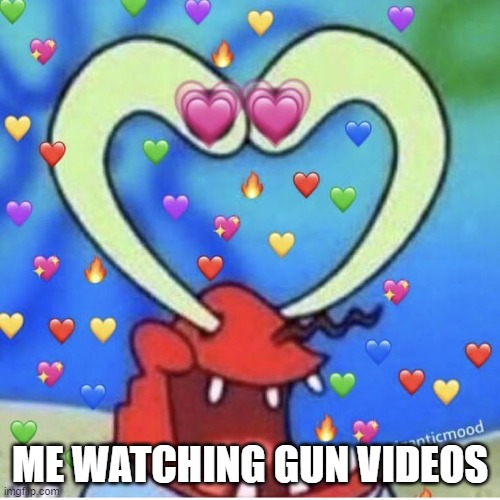 Me Watching Gun Videos | ME WATCHING GUN VIDEOS | image tagged in guns,love,in love,true love,still a better love story than twilight,i love guns | made w/ Imgflip meme maker