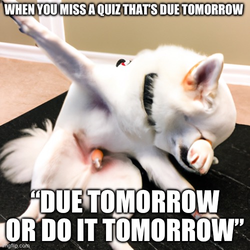 Bruh | WHEN YOU MISS A QUIZ THAT’S DUE TOMORROW; “DUE TOMORROW OR DO IT TOMORROW” | image tagged in moai | made w/ Imgflip meme maker