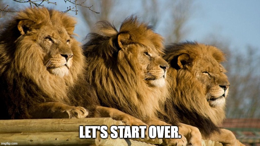 LET'S START OVER. | image tagged in detroit lions | made w/ Imgflip meme maker