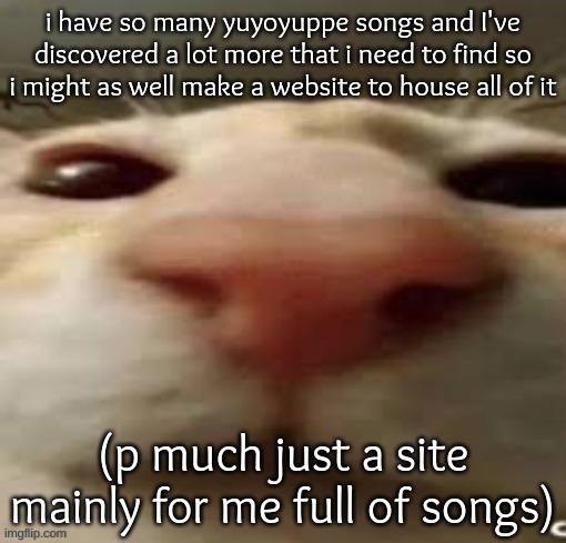 a mass collection, if you will | i have so many yuyoyuppe songs and I've discovered a lot more that i need to find so i might as well make a website to house all of it; (p much just a site mainly for me full of songs) | image tagged in cat stare | made w/ Imgflip meme maker