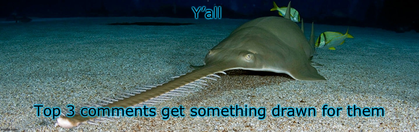 Please include a reference | Y’all; Top 3 comments get something drawn for them | image tagged in cool sawfish | made w/ Imgflip meme maker