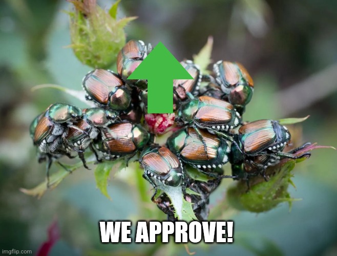 WE APPROVE! | made w/ Imgflip meme maker