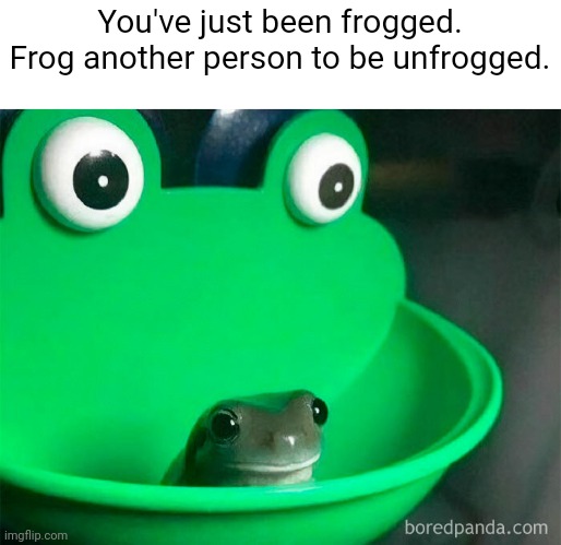 Repost for frog | You've just been frogged. Frog another person to be unfrogged. | image tagged in frog,froggo | made w/ Imgflip meme maker