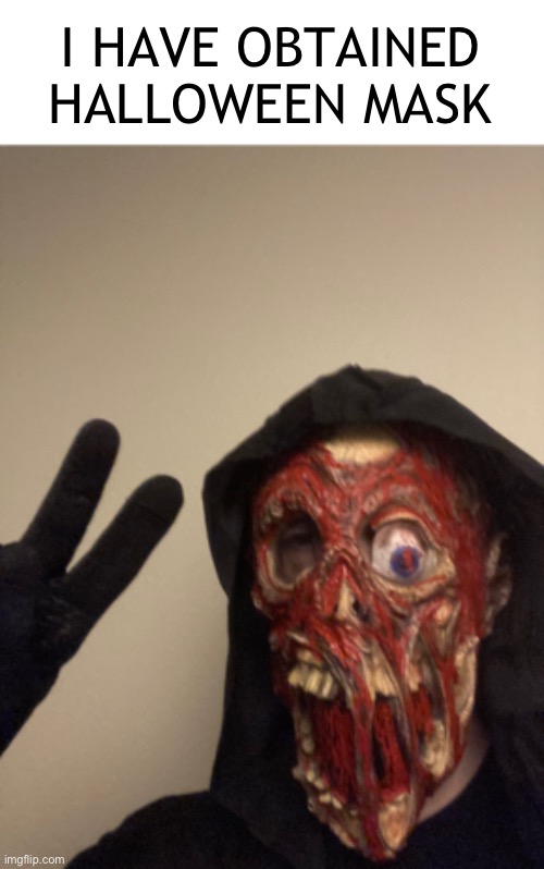 I’m quite happy | I HAVE OBTAINED HALLOWEEN MASK | image tagged in mask,halloween,spooky | made w/ Imgflip meme maker
