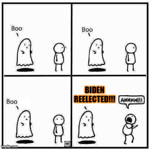 Ghost Boo | BIDEN REELECTED!!! | image tagged in ghost boo,biden,election | made w/ Imgflip meme maker