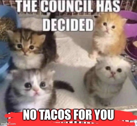 I'm afraid you get no tacos | NO TACOS FOR YOU | image tagged in the council has decided lethal injection,no,tacos | made w/ Imgflip meme maker