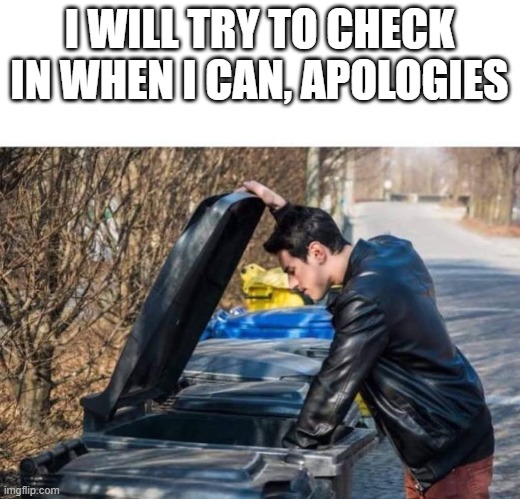 i promise i will try to keep up | I WILL TRY TO CHECK IN WHEN I CAN, APOLOGIES | image tagged in looking in garbage,check in | made w/ Imgflip meme maker