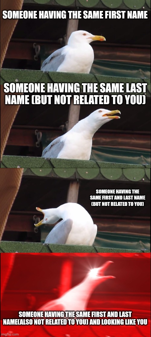 Inhaling Seagull Meme | SOMEONE HAVING THE SAME FIRST NAME SOMEONE HAVING THE SAME LAST NAME (BUT NOT RELATED TO YOU) SOMEONE HAVING THE SAME FIRST AND LAST NAME (B | image tagged in memes,inhaling seagull | made w/ Imgflip meme maker