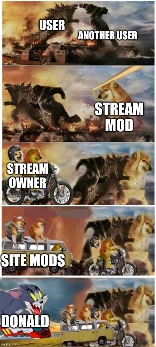 imgflop moderations in a nutshell | ANOTHER USER; USER; STREAM MOD; STREAM OWNER; SITE MODS; DONALD | image tagged in godzilla vs king kong vs doge vs buff doge vs tom | made w/ Imgflip meme maker