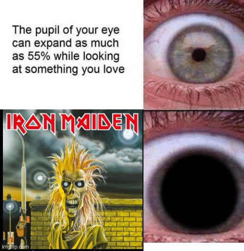 Iron Maiden fans have the same thing as me | image tagged in iron maiden | made w/ Imgflip meme maker