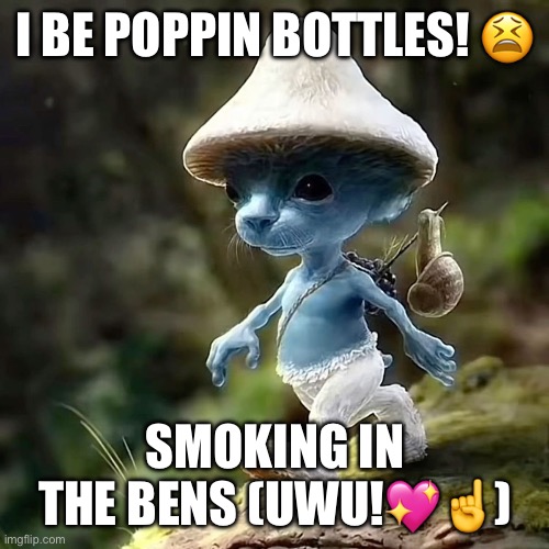 u wish u were me fr | I BE POPPIN BOTTLES! 😫; SMOKING IN THE BENS (UWU!💖☝️) | image tagged in i be poppin bottles | made w/ Imgflip meme maker