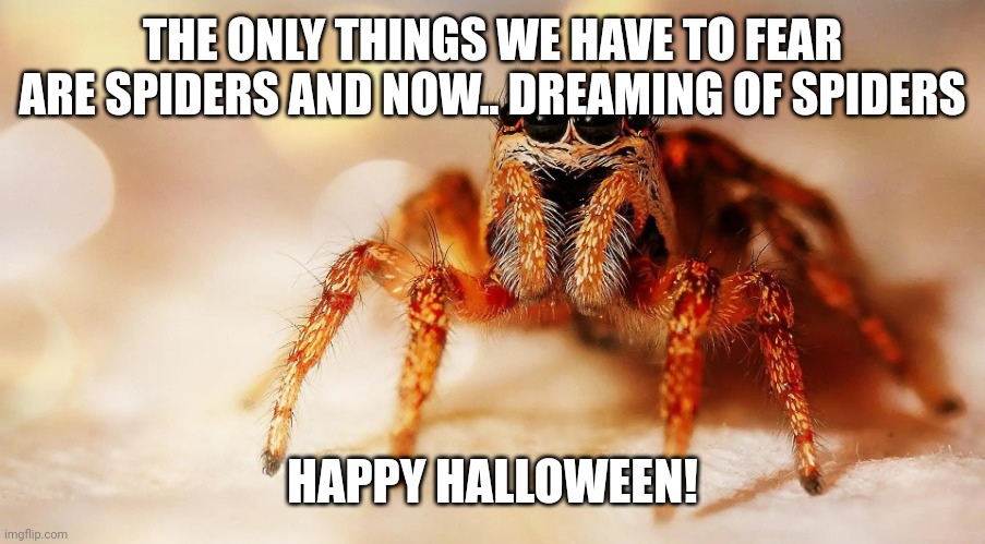 Spider | THE ONLY THINGS WE HAVE TO FEAR ARE SPIDERS AND NOW.. DREAMING OF SPIDERS; HAPPY HALLOWEEN! | image tagged in spider | made w/ Imgflip meme maker