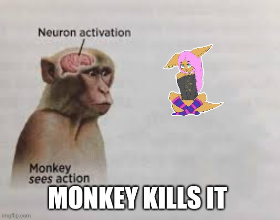 Neuron activation | MONKEY KILLS IT | image tagged in neuron activation | made w/ Imgflip meme maker