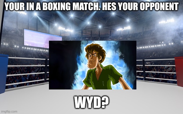 joke rp. (yes. you can be matt from wii sports) | YOUR IN A BOXING MATCH. HES YOUR OPPONENT; WYD? | image tagged in boxing arena | made w/ Imgflip meme maker