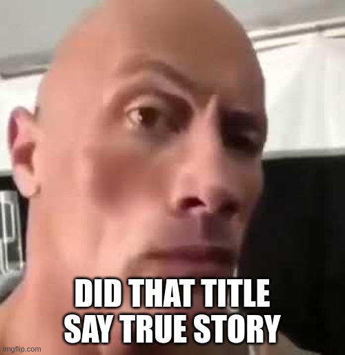 The Rock Eyebrows | DID THAT TITLE SAY TRUE STORY | image tagged in the rock eyebrows | made w/ Imgflip meme maker